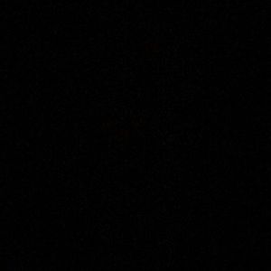 Meet your Posher, Shelby